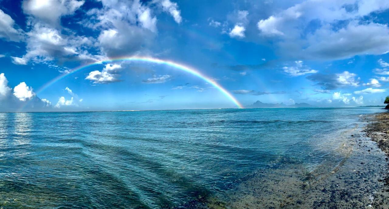 Superbe Bord De Mer, Acces Lagon Et Piscine Privee Paea Eksteriør bilde